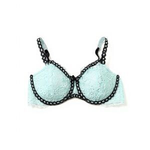 Victoria’s Secret Retro Chic Full Figure Bra size 36C